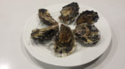 Freycinet Marine Farm Oysters